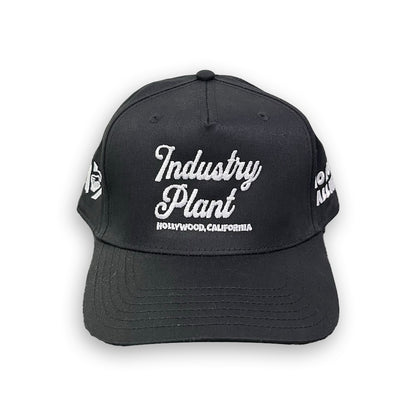 Industry Plant Black Hat
